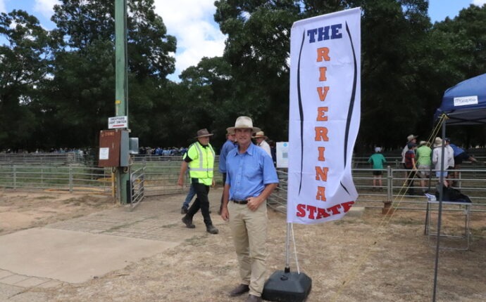 Flying The Riverina State Banner at the Annual January Deniliquin Store Sheep Sale 15/1/21.