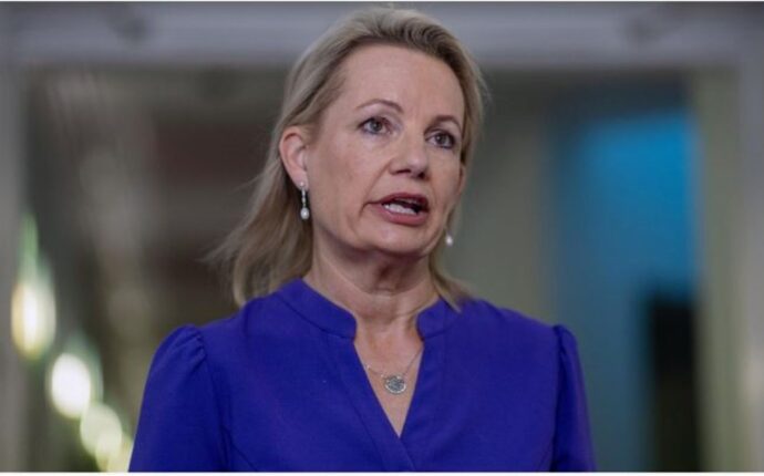 Sussan Ley Liberal Party Pre-Selection Challenger Rejected