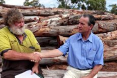 Millewa Group of Forests (Mathoura) Timber Harvesting Policy Presentation